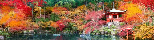 Top 10 trips for 2025 | Blog | Explore Worldwide | Travel tips, advice ...